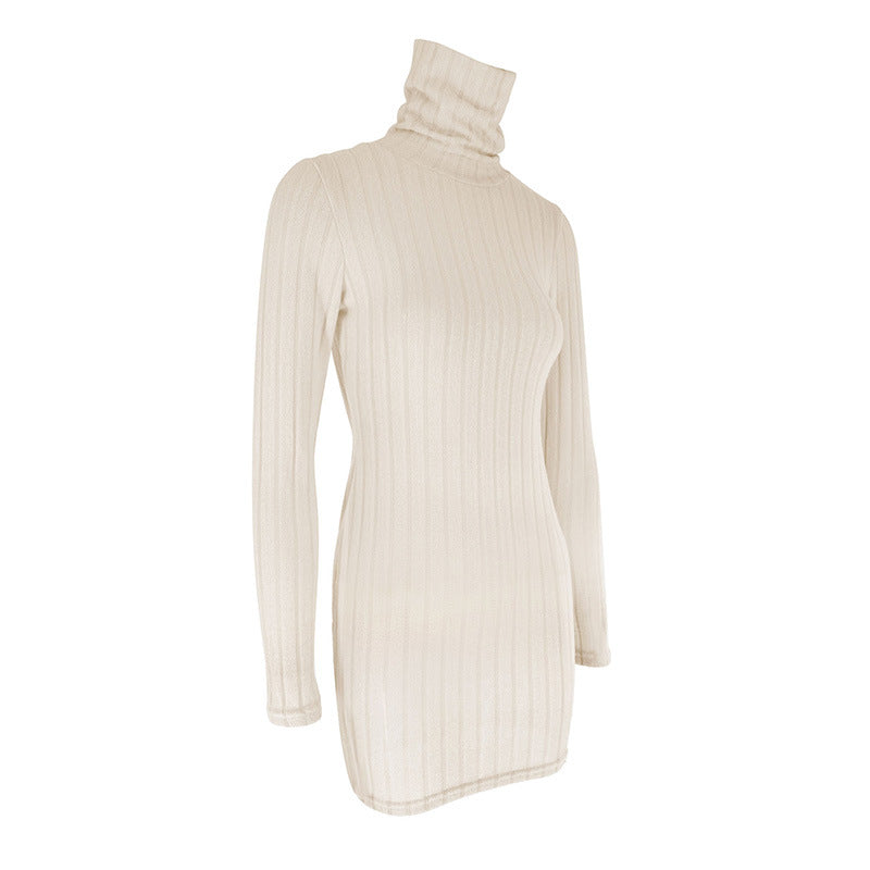 Long-Sleeve Round-Neck Bodycon Mini Dress