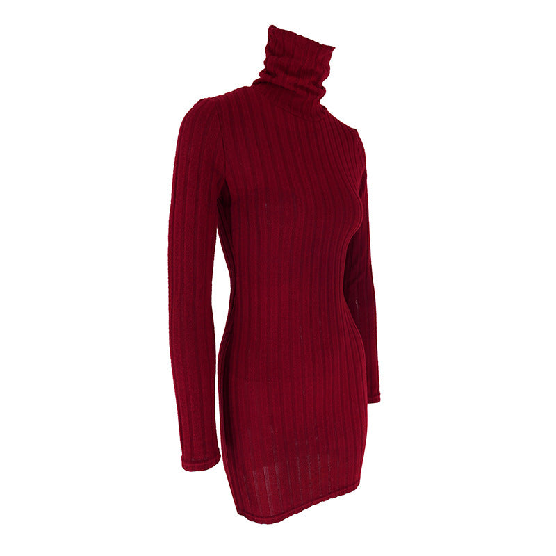 Long-Sleeve Round-Neck Bodycon Mini Dress